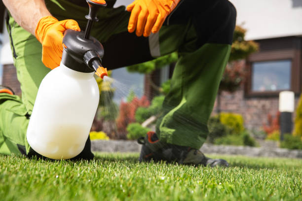 Best Local Pest Control Services  in Blue Ridge, TX