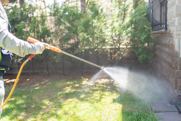 Best Rat Extermination Near Me  in Blue Ridge, TX