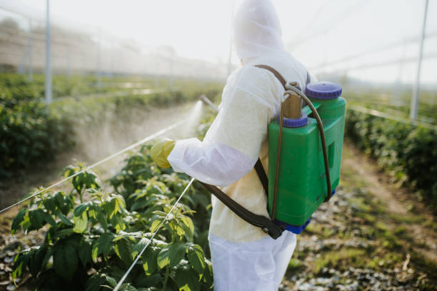 Best Pest Control for Restaurants  in Blue Ridge, TX